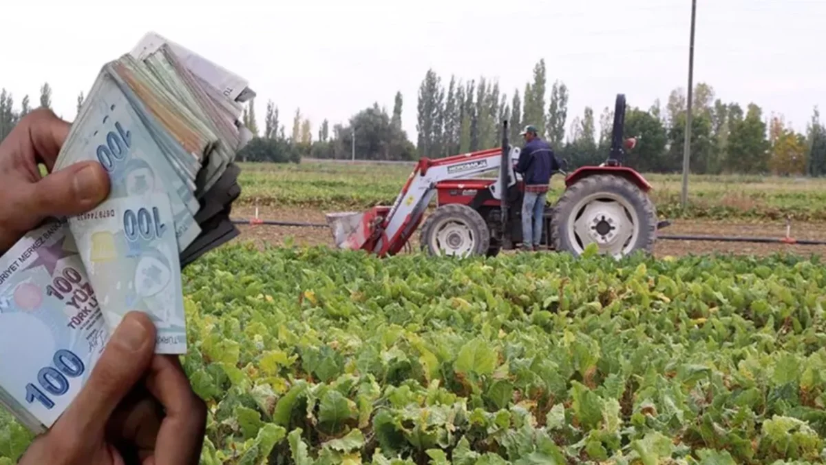 Bakanlık Ödüyor: Çiftçiye Tarımsal Destek Parası!